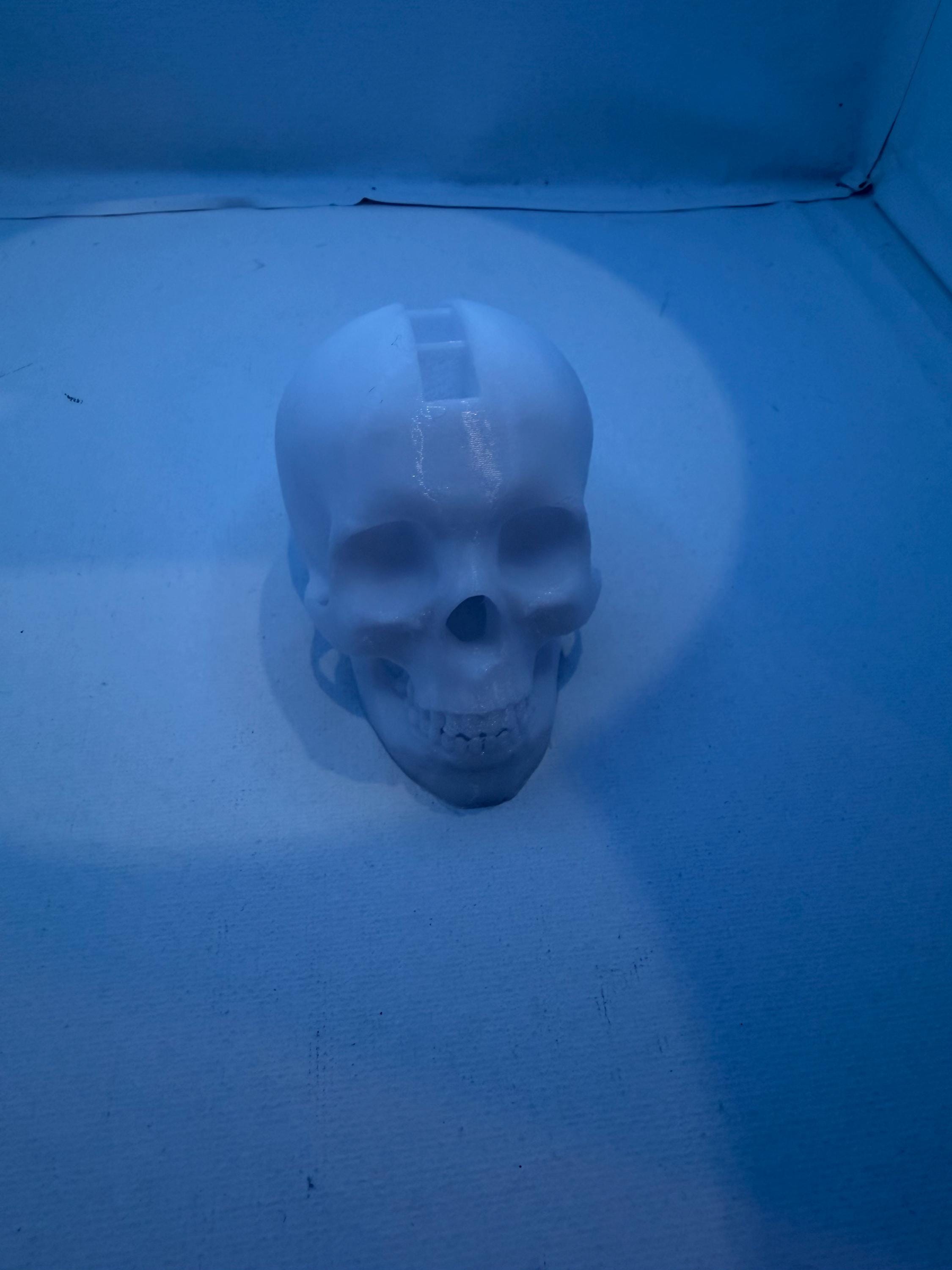 Skull Toothpick Holder | Spooky Skull Decor | Functional Desk and Kitchen Accessory | 3D Printed