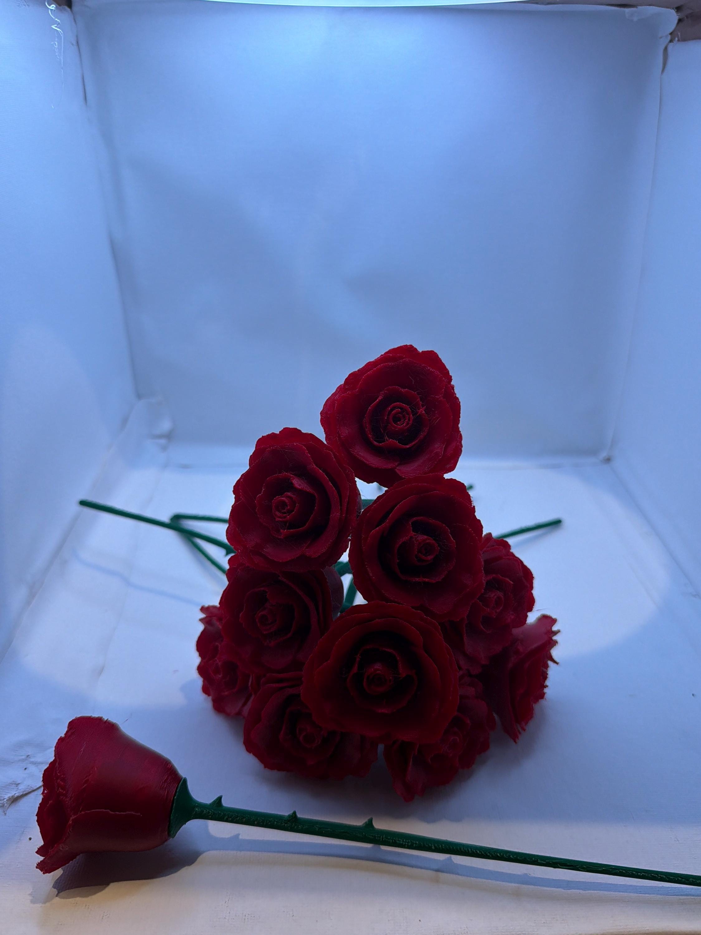 3D Printed  5-flower Rose Bouquet