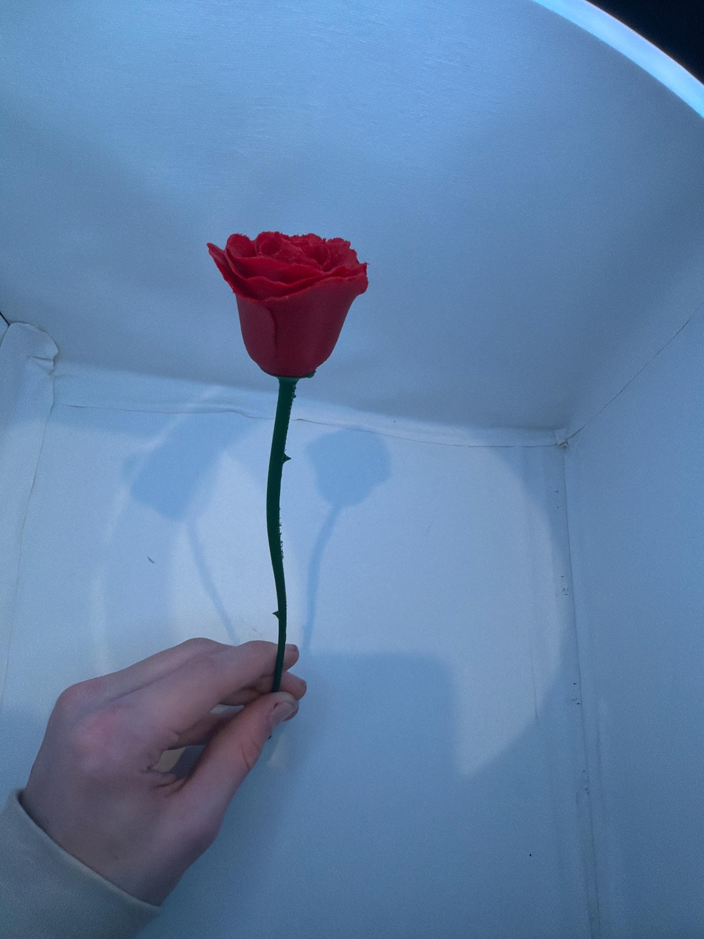 3D Printed  5-flower Rose Bouquet