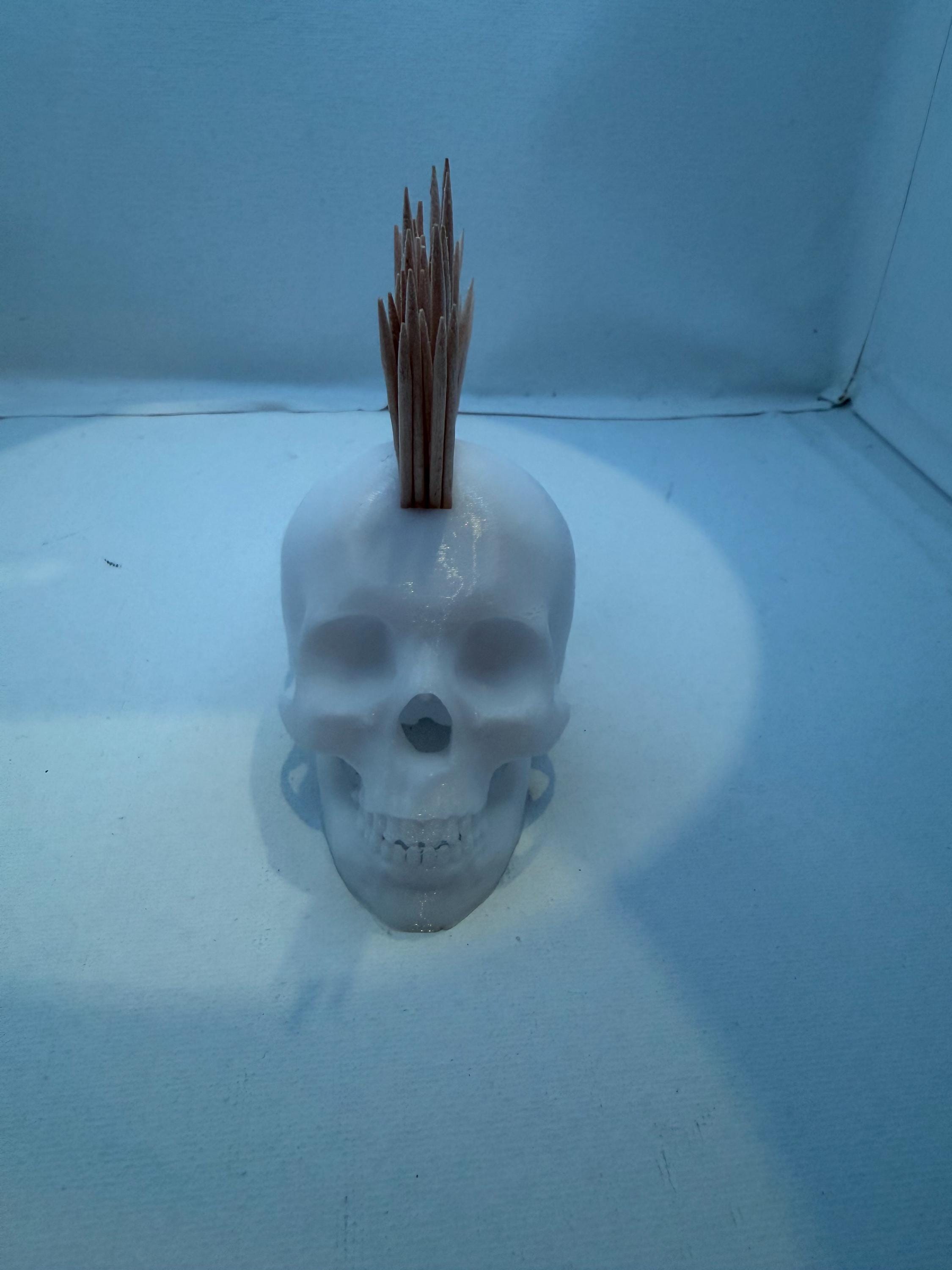 Skull Toothpick Holder | Spooky Skull Decor | Functional Desk and Kitchen Accessory | 3D Printed